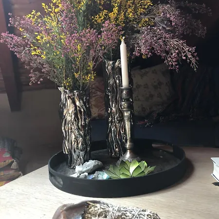 Casa Cantadora * Ambasmestas